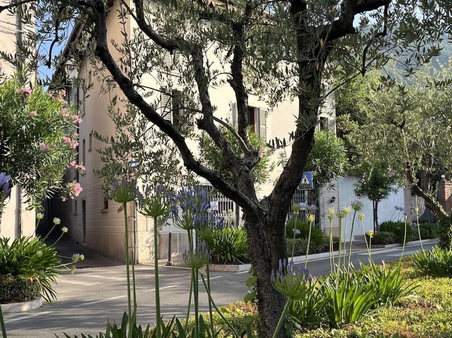 La Piccola Casa Al Lago - Intera Casa Con 3 Camere E 2 Box Saló Exterior foto